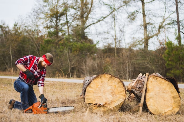 Forest management and timber work